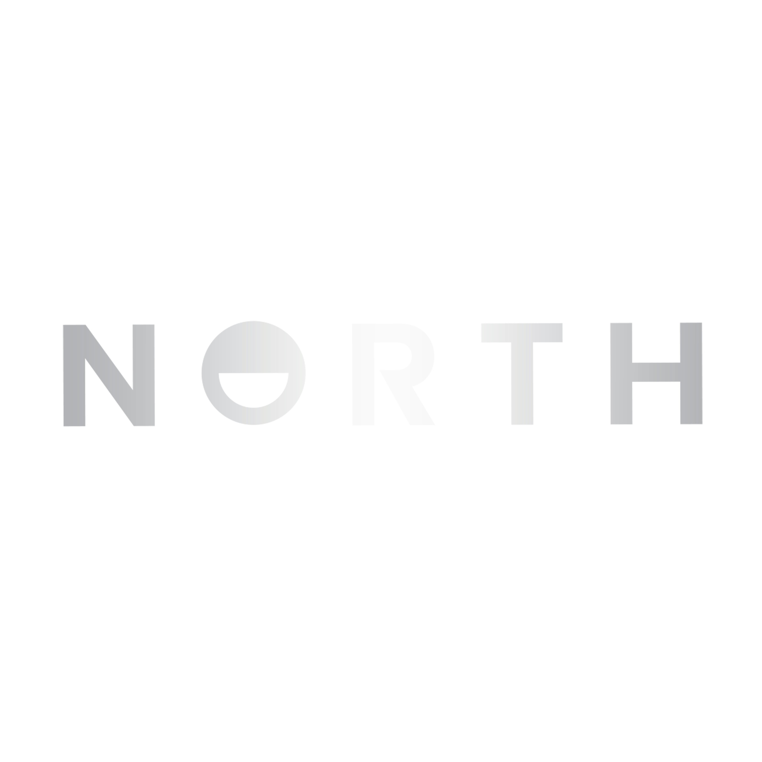 North Wordmark Vehicle Sticker X-Large set of 2