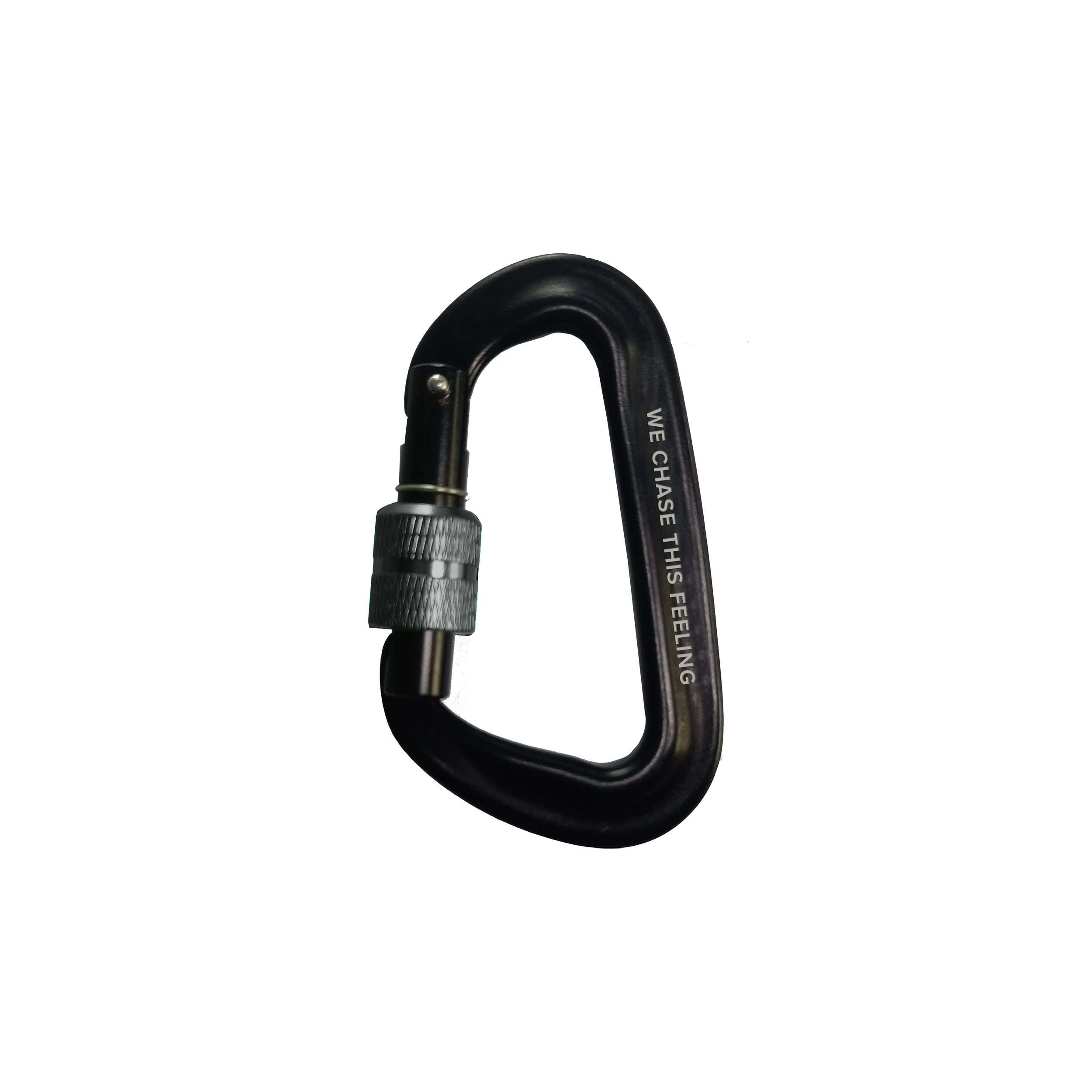 North Carabiner set of 10