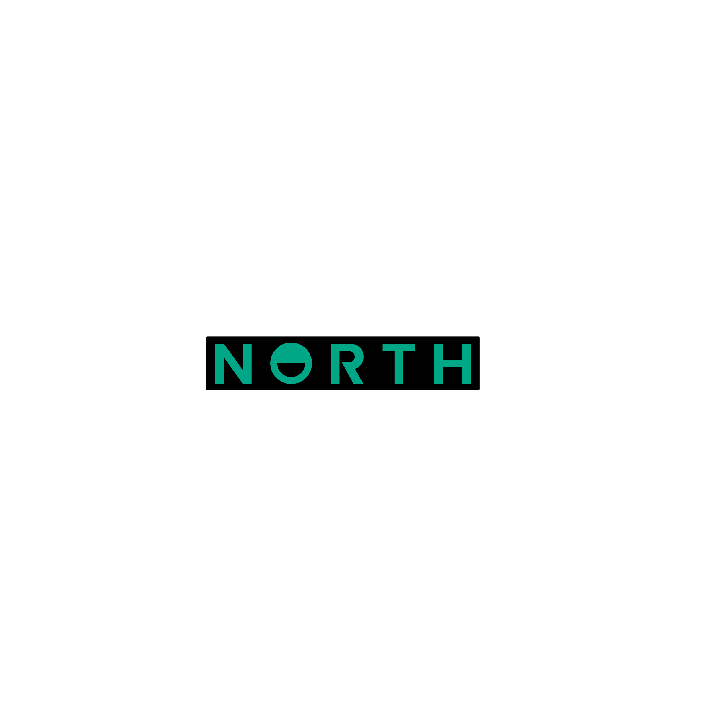 North Wordmark Promo Sticker Small set of 10