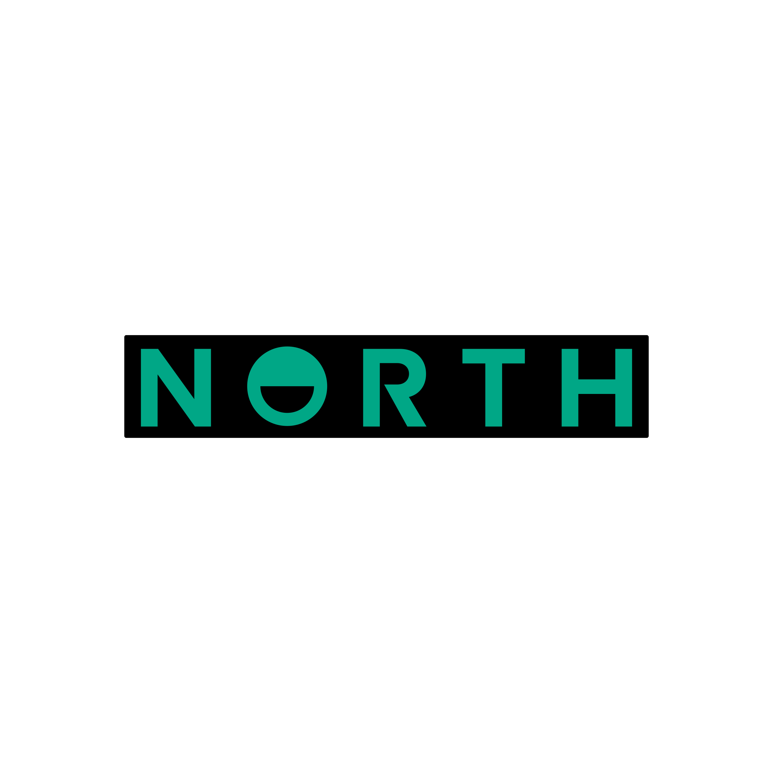 North Wordmark Promo Sticker Large set of 10