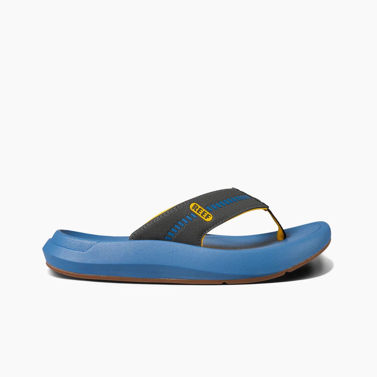 REEF MENS  SWELLSOLE CRUISER