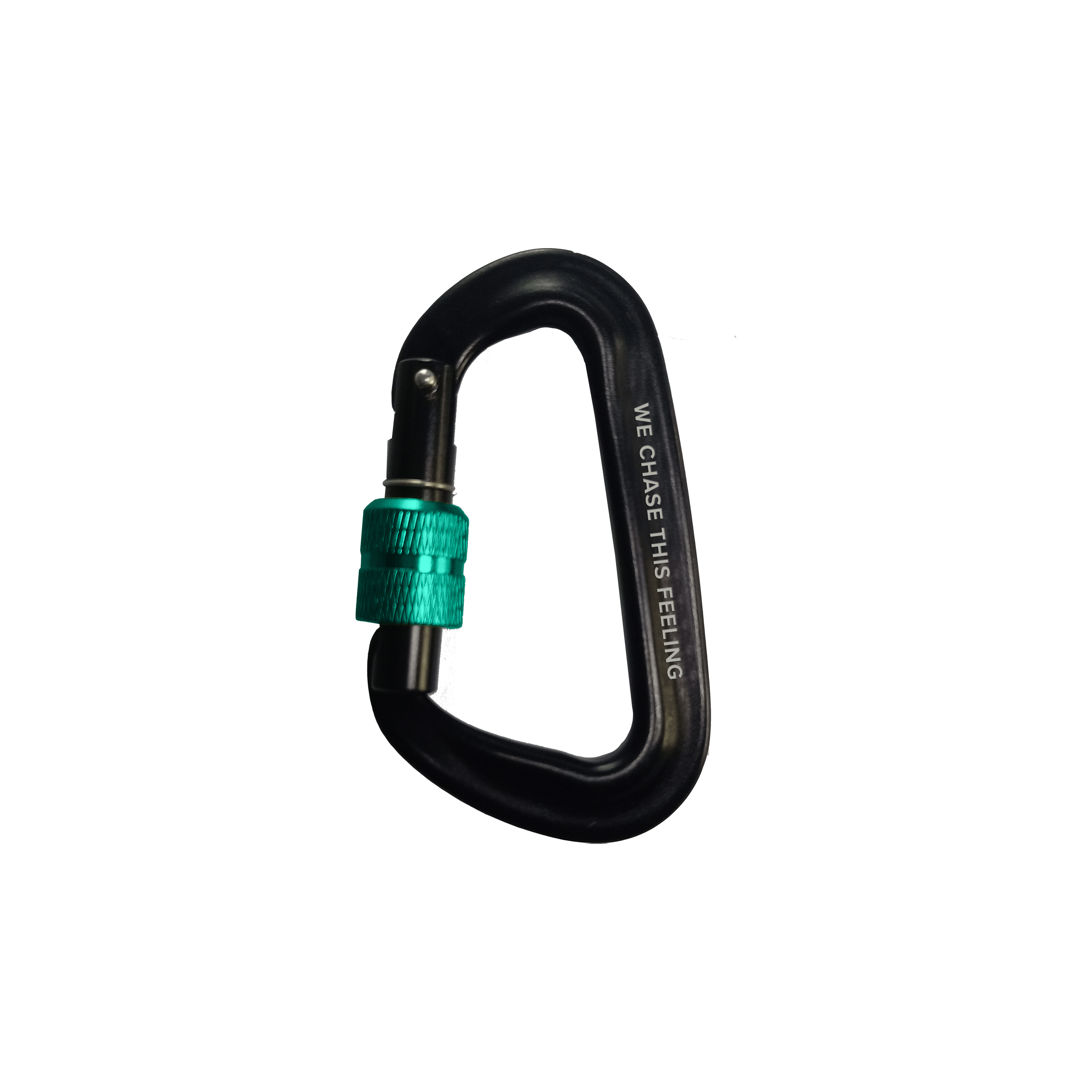 North Carabiner set of 10